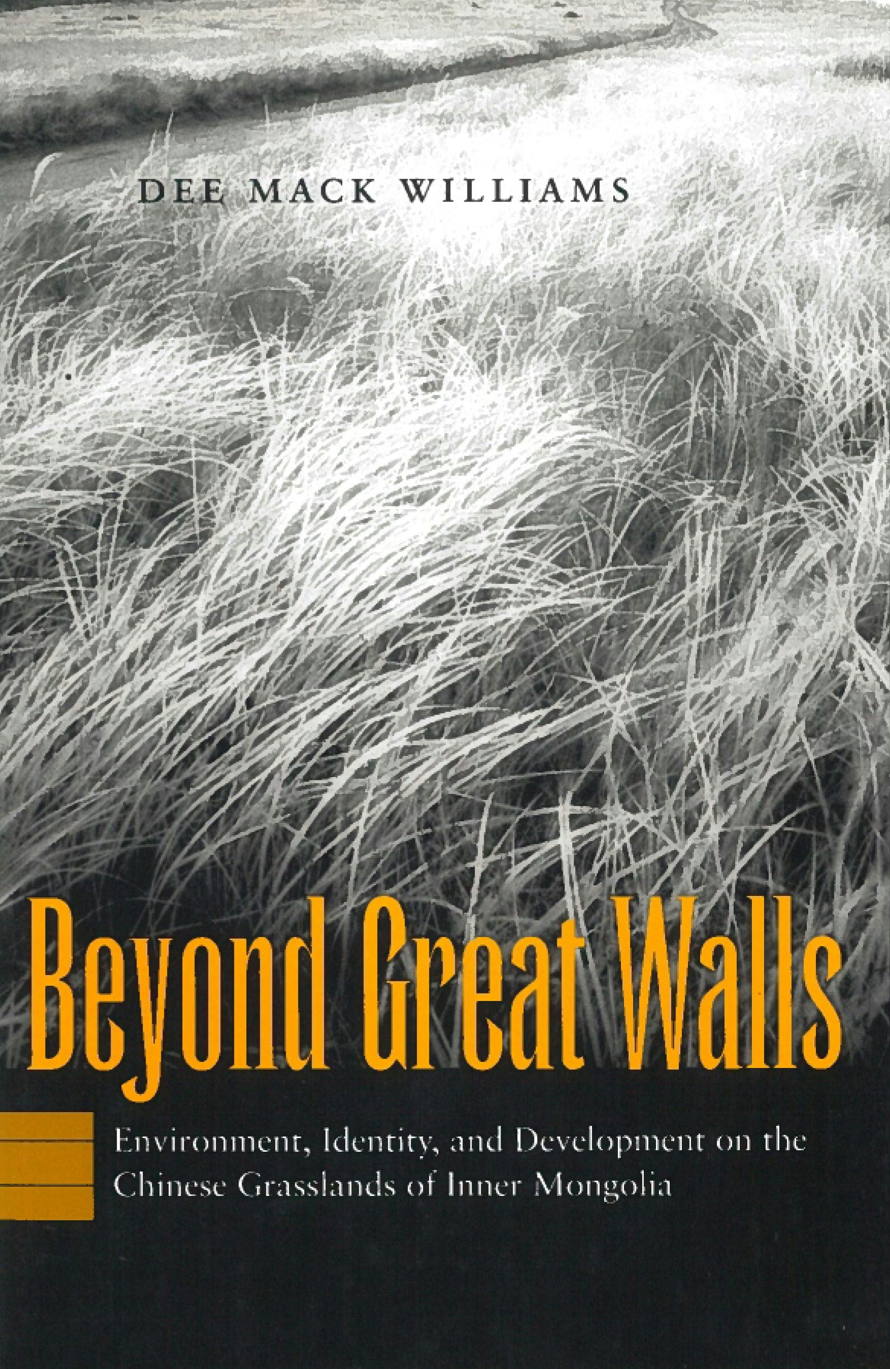 Book cover image for Beyond Great Walls ISBN: 9780804742788